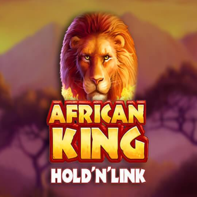 African King Hold 'N' Link